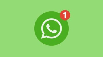 بوابة روز اليوسف | عاجل