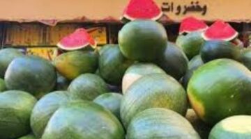 بعد وصولها لـ250 جنيه.. أسعار البطيخ تتراجع بالأسواق