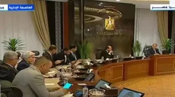 شبكة الكهرباء تحصل على تعزيز 1150 ميجا لتأمين الصيف بإعلان رئيس الوزراء