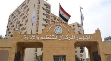 وظائف جديدة بوزارة النقل يعلن عنها الجهاز المركزي للتنظيم والإدارة