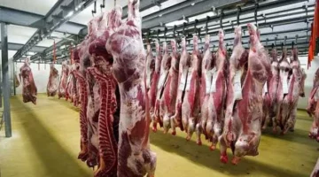 أسعار اللحوم الحمراء المجمدة والضاني اليوم الأحد 27-4-2025