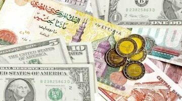 الآن.. أسعار الدولار والعملات الأجنبية اليوم وفقا للبنك الأهلى