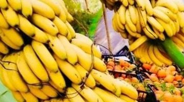 أسعار الفاكهة اليوم بمحافظة مطروح: الموز يصل إلى 35 جنيها الأحد 20-4-2025