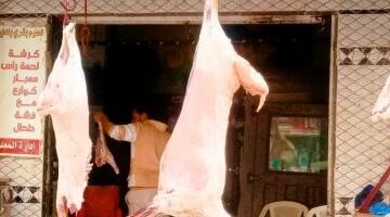 أسعار اللحوم اليوم السبت 28-6-2025 بأسواق محافظة مطروح.. البلدي بـ 400 جنيه