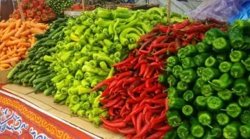 أسعار الخضروات اليوم بأسواق مطروح