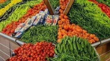 أسعار الخضروات اليوم الخميس 12-6-2025 فى الإسماعيلية