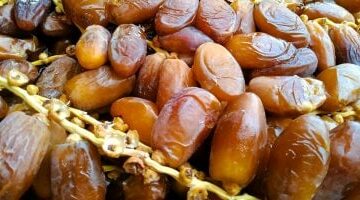 أسعار البلح السيوى اليوم الخميس 24- 4-2025 بأسواق محافظة مطروح.. الصعيدى بـ35 جنيها