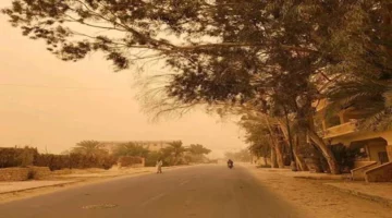 التعليم العالي: منح الجامعات إجازة بسبب العاصفة الترابية “تقديري لكل جامعة”