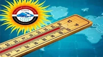 ارتفاع درجات الحرارة غدًا الاثنين 7 أبريل.. الأرصاد تكشف تفاصيل حالة الطقس بشكل مفصل.