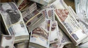 تخصيص 78.1 مليار جنيه لدعم الاستثمار وتعزيز توطين الصناعة في مصر