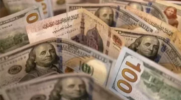 أسعار الدولار اليوم في مصر: تعرف على أحدث سعر بالبنوك الآن