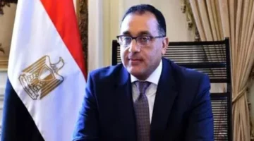 الحكومة: 3 مليارات جنيه مستحقات الفلاحين لتوريد القطن تدعم الزراعة