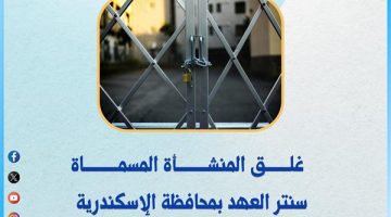 التعليم العالي تغلق كيانين وهميين بالإسكندرية