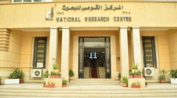 التعليم العالي تعلن موعد ندوة الخلايا الجذعية