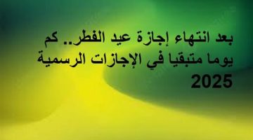 متبقيات الإجازات الرسمية لعام 2025