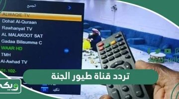 تردد قناة طيور الجنة الجديد 2025: استقبل القناة بجودة عالية على الأقمار كافة