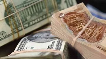 سعر الدولار اليوم في البنك الأهلي الأحد 20 أبريل 2025 مقابل الجنيه المصري