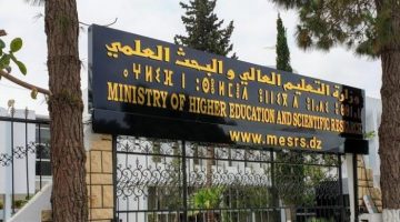 التعليم العالي: المنصة الوطنية لإثراء خبرة الدروس عبر الإنترنت تطلق رسميًا