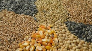 أسعار الأعلاف الحيوانية والداجنة والسمكية اليوم الثلاثاء 29-4-2025