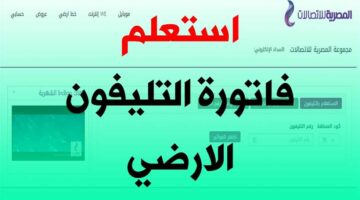 إلكترونيًا | الاستعلام عن فاتورة التليفون الأرضي 2025 شهر مايو بخطوات بسيطة وسهلة