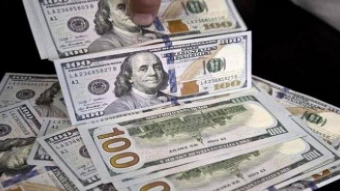 رسميًا الآن سعر الدولار مقابل الجنيه المصري