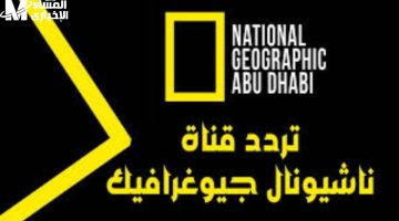 تردد ناشيونال جيوغرافيك أبوظبي 2025.. استمتع بالسفر حول العالم من كنبتك