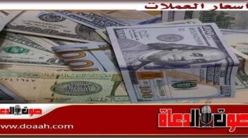 أسعار الدولار اليوم السيت 14 يونيو 2025 م والعملات العربية والعالمية – صوت الدعاة