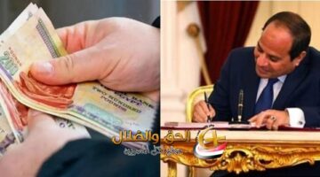 مكافآت استثنائية لهذه الفئات.. قرار جديد من الرئيس السيسي يسعد الملايين بعد نشره على الجريده الرسميه