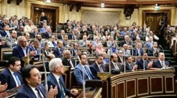 مجلس النواب وافق على زيادة الحافز الإضافى للموظفين لـ700 جنيه