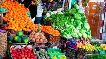 كيلو المانجو يبدأ من 50 جنيها.. قائمة أسعار الفاكهة فى أسواق الأقصر