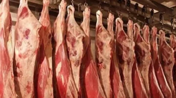 هل سترتفع أسعار اللحوم بعد عيد الأضحى المبارك 2025؟