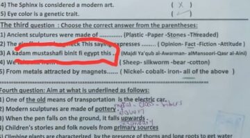 سؤال بالفرانكو بامتحان إنجليزي في دمنهور بمصر.. و«التعليم» تحقق