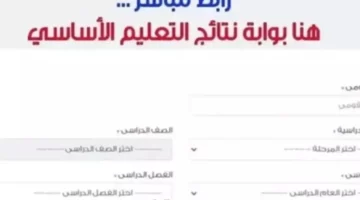 بوابة نتائج التعليم الأساسي برقم الجلوس .. موعد ورابط نتيجة الصف الثالث الابتدائي 2025 محافظة القاهرة الترم الثاني