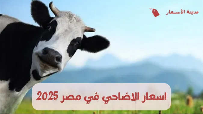 إضافة عنوان 2024 11 07T173122.324 2.webp