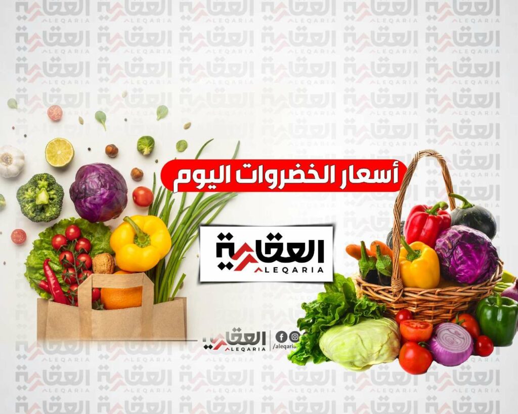 اسعار الخضار اليوم 1669295460 0