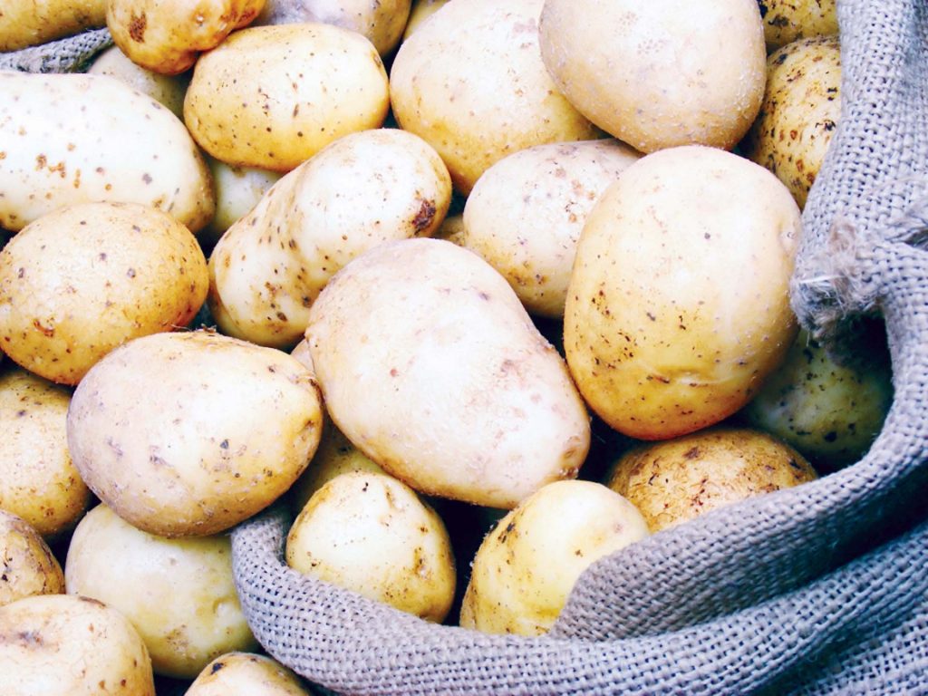 البطاطس