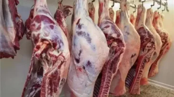 اعرف أسعار اللحوم البلدي والمسوردة في الإسكندرية اليوم الأحد