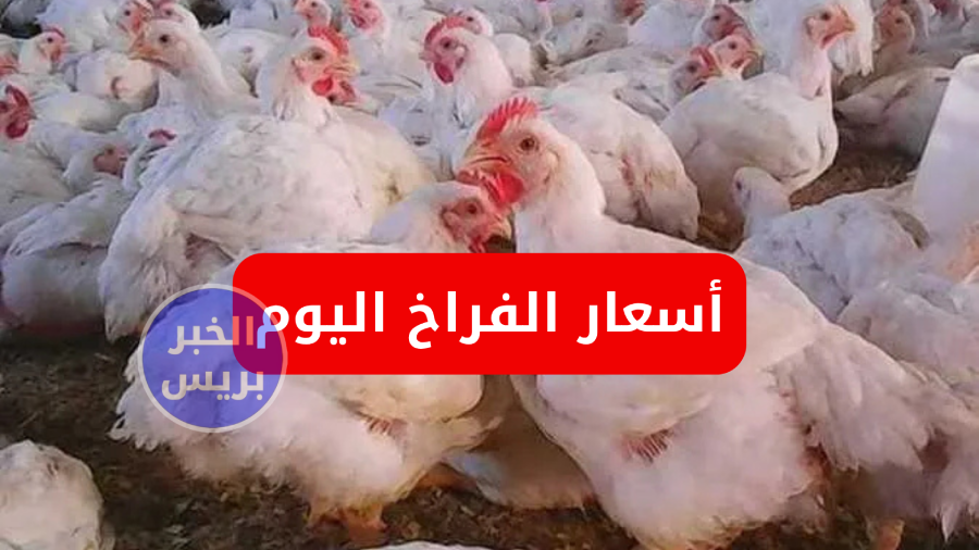 15485410.webp