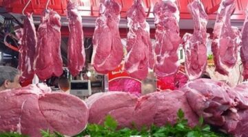 سعر اللحوم  فى وزارة الزراعة