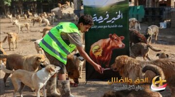 شاهد ما حدث الساعات الأخيرة وقلب “السوشيال ميديا”.. موقع الحق والضلال يترك تأثيره في المجتمع المصري.. بعد متابعة ملف الرفق بالحيوان كانت هذه النتيجة