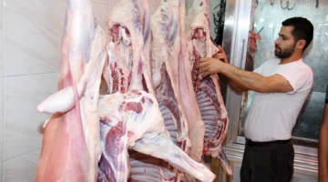 أسعار اللحوم الكندوز البلدي والمجمد اليوم الأحد 29-6-2025 في المنافذ ومحال الجزارة