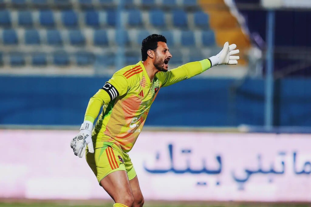 1751219399 محمد الشناوي