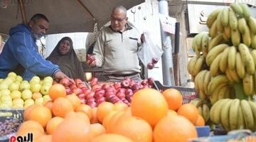 أسعار الفاكهة اليوم السبت 28-6-2025 بأسواق محافظة مطروح