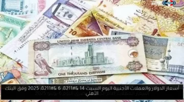 أسعار الدولار والعملات الأجنبية اليوم السبت 14 – 6 – 2025 وفق البنك الأهلي
