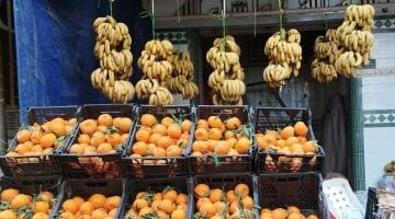 أسعار الفاكهة بأسواق محافظة مطروح اليوم الإثنين 23-6-2025.. الكنتالوب بـ 20 جنيه