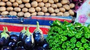 أسعار الخضروات اليوم الجمعة 27 يونيو 2025.. الطماطم بـ 8 جنيهات