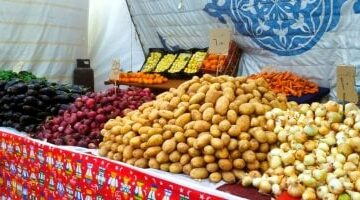 أسعار الخضراوات في أسواق الأقصر.. اليوم السبت 21 يونيو 2025