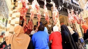 أسعار اللحوم البلدية اليوم الخميس 19-6-2025 فى الإسماعيلية
