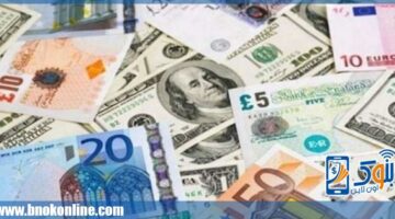 أسعار العملات العربية والأجنبية في البنوك اليوم الأحد 1 يونيو 2025 | خدمات بنكية