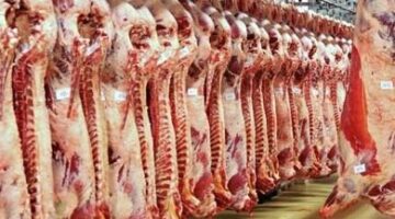 استقرار أسعار اللحوم البلدية والمستوردة في الأسواق اليوم